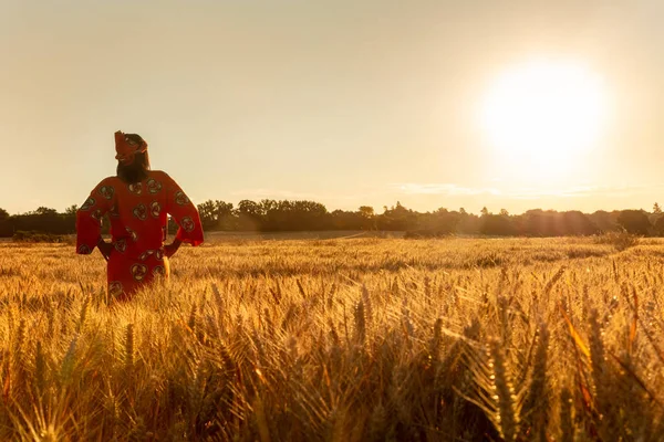 Afrikansk kvinna i traditionella kläder går i ett fält av grödor vid solnedgången eller soluppgången — Stockfoto