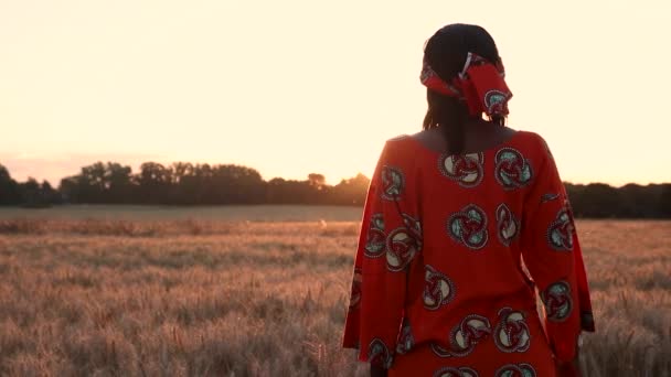 Vídeo Clip Mujer Africana Agricultora Ropa Tradicional Pie Campo Cultivos — Vídeos de Stock