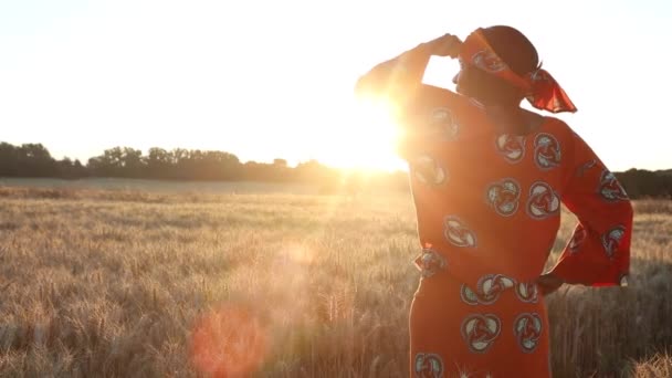 Wideo Afrykańskiej Kobiety Rolnik Tradycyjnych Ubraniach Stojących Polu Upraw Pszenicy — Wideo stockowe