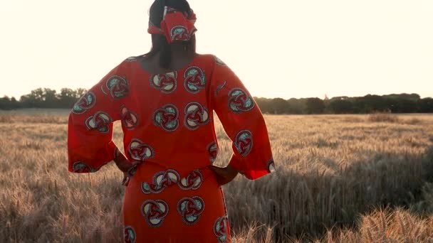 Wideo Afrykańskiej Kobiety Rolnik Tradycyjnych Ubraniach Stojących Polu Upraw Pszenicy — Wideo stockowe