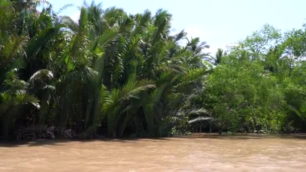 Vista Della Foresta Pluviale Riva Del Fiume Dalla Barca Vietnamita — Video Stock