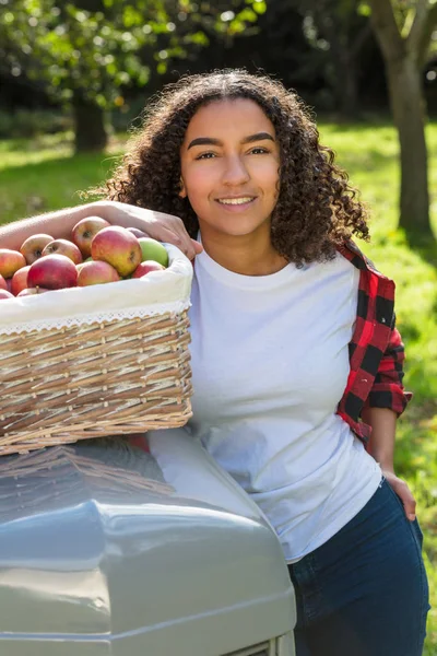 Raza mixta Adolescente femenina apoyada en el tractor recogiendo manzanas — Foto de Stock