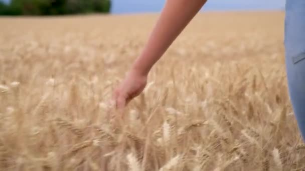 Video Klipp Unga Vuxna Kvinna Eller Tonårs Flickor Kvinnliga Handen — Stockvideo