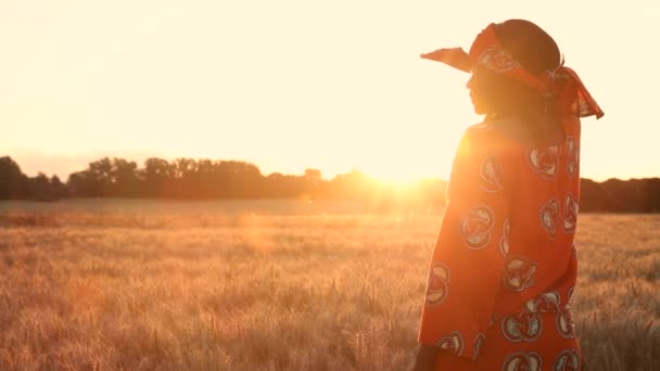 小麦または大麦のフィールドに立っている伝統的な服のアフリカの女性農家のHdビデオクリップ 日没または日の出 — ストック動画