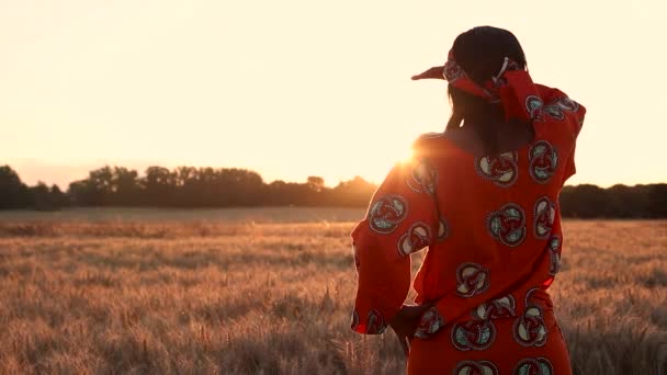 Videoclip Einer Afrikanischen Bäuerin Traditioneller Kleidung Die Auf Einem Feld — Stockvideo