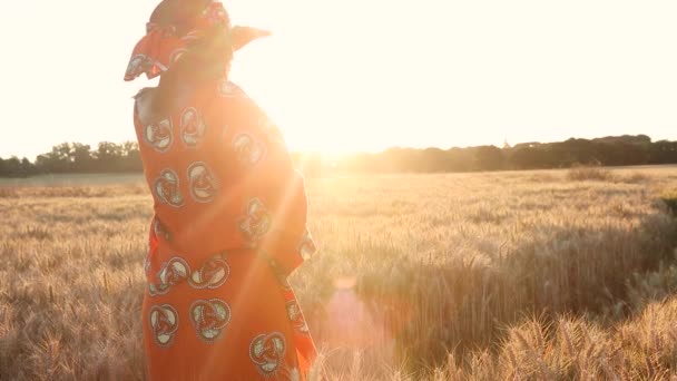 Vídeo Clipe Mulher Agricultor Africano Roupas Tradicionais Campo Culturas Trigo — Vídeo de Stock