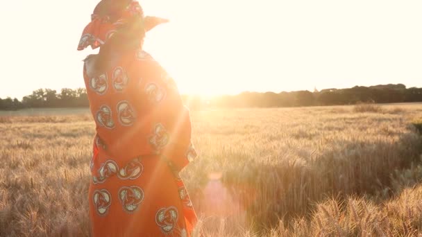 Vídeo Clip Mujer Africana Agricultora Ropa Tradicional Pie Campo Cultivos — Vídeos de Stock