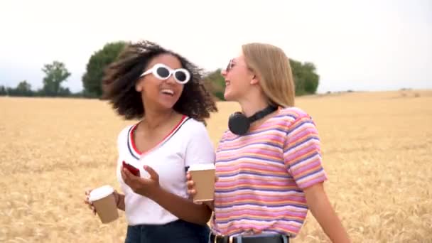 Zpomalit Video Klip Hezké Blondýny Smíšené Rasy Teenager Mladé Ženy — Stock video
