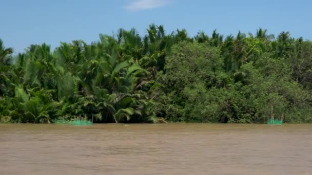 Pohled Deštný Prales Břeh Řeky Vietnamské Lodi Plující Řece Mekong — Stock video