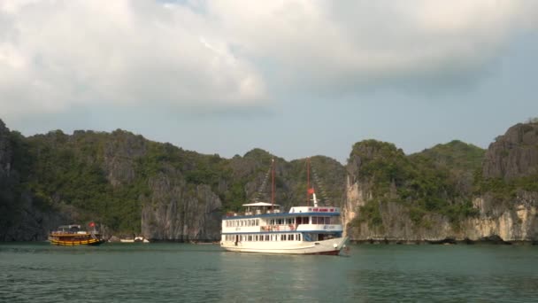 Turister Och Kristbåtar Long Bay Cat National Park North East — Stockvideo