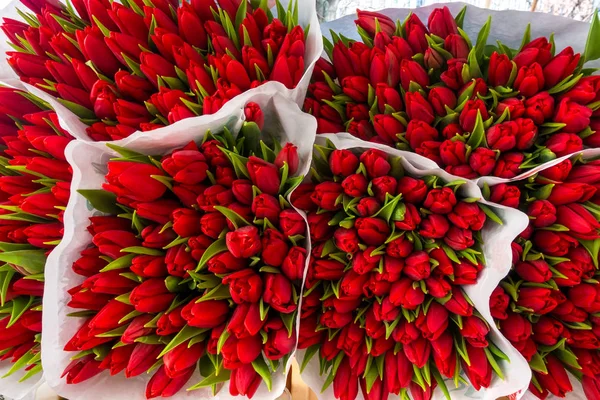 Пучки червоних квітів тюльпан — стокове фото