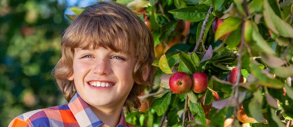 Menino feliz menino masculino criança sorrindo em um pomar de maçã Panorama Web Banner — Fotografia de Stock