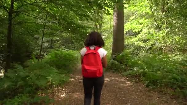 Teenage African American Mixed Race Girl Young Woman Hiking Red — Stock Video