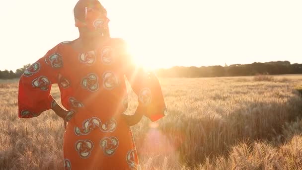 Відео Африканського Фермера Традиційному Одязі Який Стоїть Полі Культур Пшениці — стокове відео