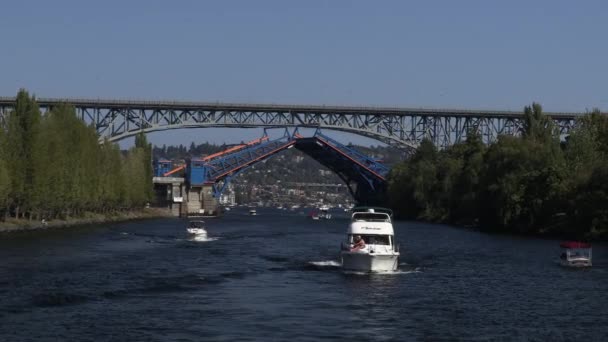 Buats Sailing Fremont Cut Lake Union Seattle Washington Estados Unidos — Vídeo de stock