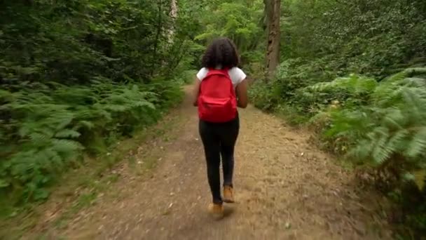 Adolescente Afroamericana Mestiza Joven Mujer Senderismo Con Mochila Roja Tomar — Vídeos de Stock