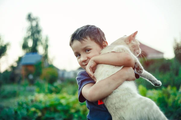 Ragazzo Stanno Abbracciando Gatto Pelliccia Rossa Villaggio Estivo — Foto Stock