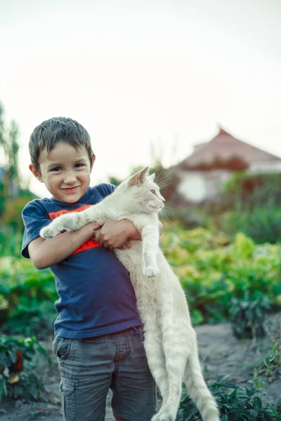 Çocuk kırmızı kürk kedi yaz köyü sarılma vardır 