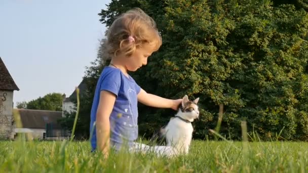 ein lockiges kleines Mädchen streichelt eine dreifarbige Katze. Familientag. Haustiere