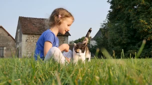 Mooi krullend meisje speelt met een kat, zittend in het gras, tegen de achtergrond van oude gebouwen en bomen — Stockvideo
