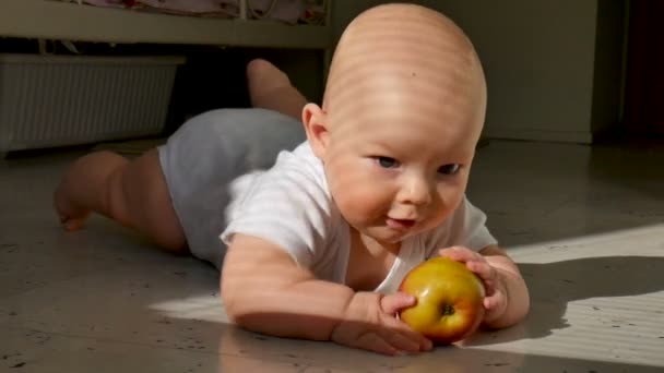 Baby is op de vloer liggen en houd een rode appel. Het kind is zeer levendig en vrolijk, hij klopt actief met handen en voeten op de vloer — Stockvideo
