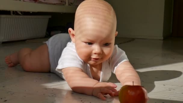Um bebé de seis meses deita-se no chão e apanha uma maçã vermelha. O bebê aprende a rastejar — Vídeo de Stock