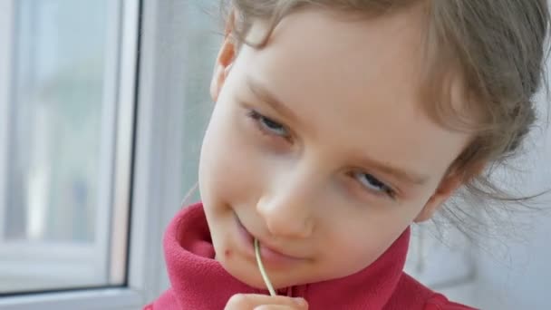 Close up retrato de uma menina loira em camisa vermelha comendo microgreens verdes brilhantes de girassol. Crianças e natureza, conceito vegetariano, alimentação saudável — Vídeo de Stock