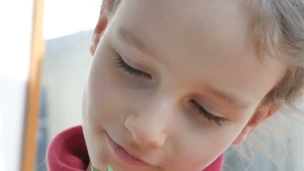 Primer plano retrato de una niña bonita comiendo microgreens verdes brillantes de girasol. Niños y naturaleza, concepto vegetariano, alimentación saludable — Vídeos de Stock