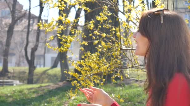 Bahar güneşli bir gün boyunca parkta aile portresi. Genç anne onu küçük sarışın kızı renkli çiçekler bir buket alır — Stok video