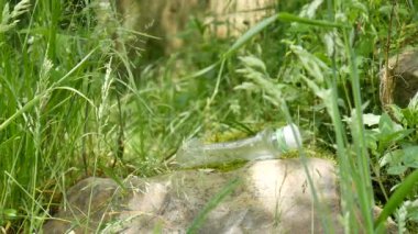 Siyah eldivenli kadın elleri orman veya parktaki yeşil çimenlerden plastik su şişesi alırlar. Çevreyi kurtarın ve plastik kirlilik kavramını yendi.