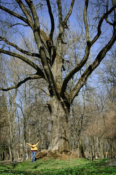 Outdoos ritratto di giovane ragazza in giacca gialla in piedi vicino al grande vecchio albero nel parco durante la giornata di sole all'inizio della primavera — Foto Stock