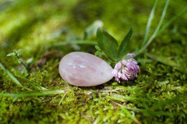 Rose quartz crystal yoni egg lying on the green grass during sunny summer day. Female health concept clipart