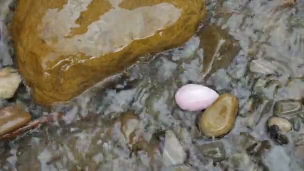 Rose quartz crystal yoni egg lying on the stones of mountains river in the water. Womens health, unity with nature concepts — Stock Video