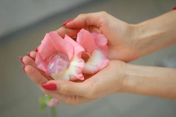 Close up photo of female hand with transparent amethyst yoni egg for vumbuilding inside pink gladiolus flower. Top view of quartz crystal in hands. Womens health concept — Stock Photo, Image