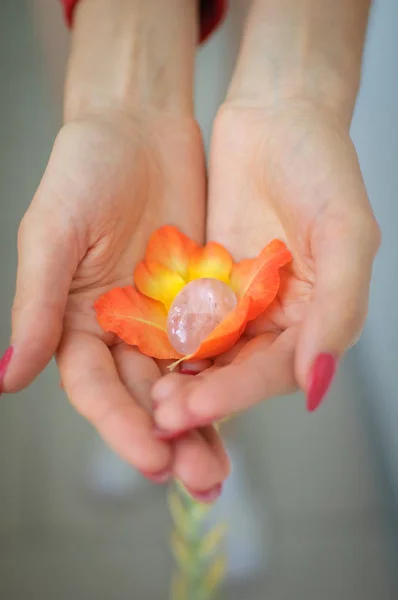 Female hand with red manicure holding transparent violet amethyst yoni egg for vumfit, imbuilding or meditation inside orange and yellow gladiolus flower.
