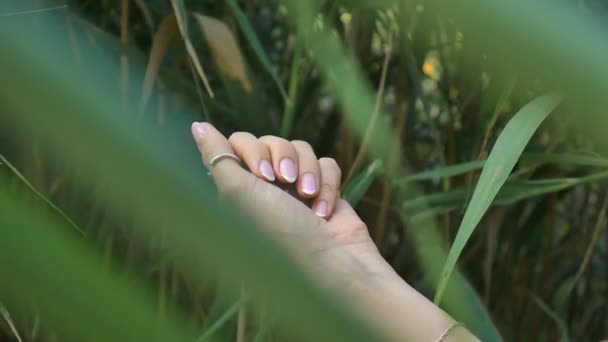 Mano femenina con manicura francesa sosteniendo huevo de cuarzo rosa yoni rosa para vumfit, imbuilding o meditación. Gema de cristal en las manos sobre fondo de tallos verdes al aire libre . — Vídeos de Stock