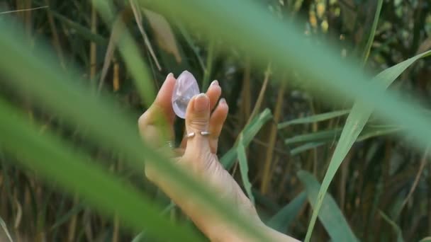 Женская рука с французским маникюром, держащая прозрачное фиолетовое яйцо аметист йони для вумфита, имбилдинга или медитации. Хрустальное яйцо кварца в руках на зеленом фоне на открытом воздухе . — стоковое видео