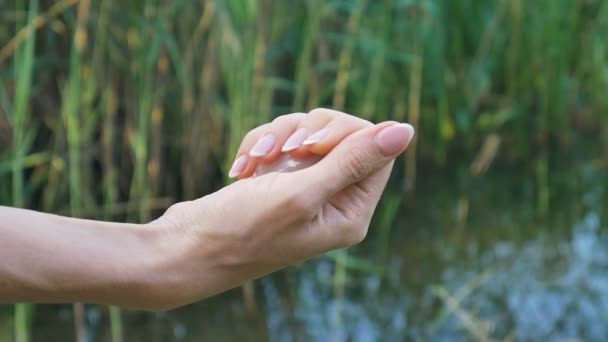 Weibliche Hand mit einem Rosenquarz-Kristall-Yoni-Ei auf Flusshintergrund. Frauengesundheit, Einheit mit Naturkonzepten — Stockvideo
