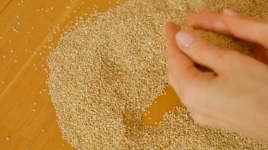 Ahşap arka plan üzerinde beyaz Quinoa tohumları ile oynayan kadın elleri üst görünümü. Sağlıklı beslenme konsepti