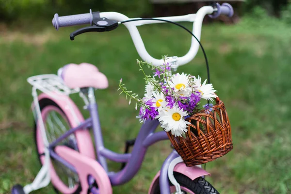 Children bicycle with wicker basket with summer bouquet in backyard garden. Female bike with chamomile and pink, lilac flowers bells.