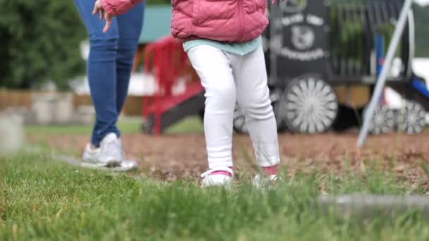 Asiatique Chinois Tout Petit Mère Jouer Dans Parc — Video