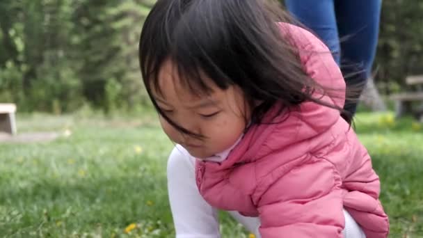 Asiatiska Kinesiska Småbarn Och Mor Spelar Park — Stockvideo