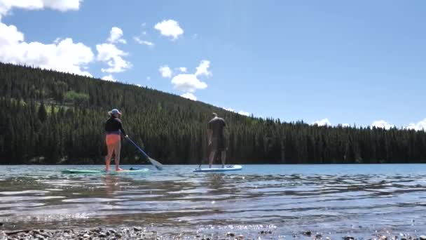 Vista Baixo Ângulo Lago Cênico Com Pessoas Parque — Vídeo de Stock