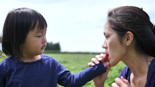 亚洲华人儿童和母亲在农场采摘草莓 — 图库视频影像