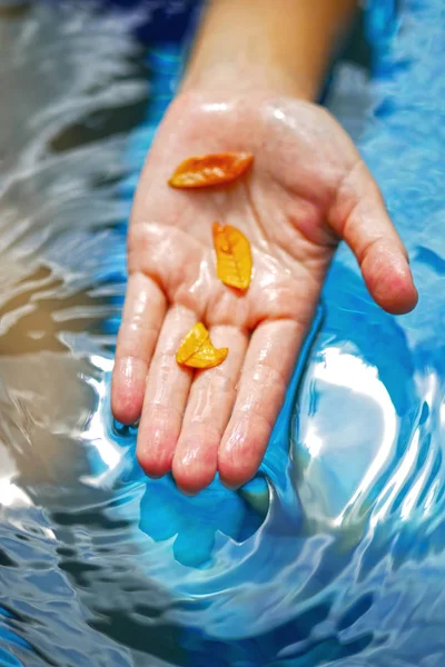 Imagen Abstracta Mano Sosteniendo Hojas Secas Agua —  Fotos de Stock