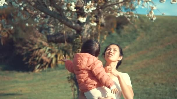 亚洲中国妇女抱着她的婴儿在一个开放的花园与樱花树 — 图库视频影像