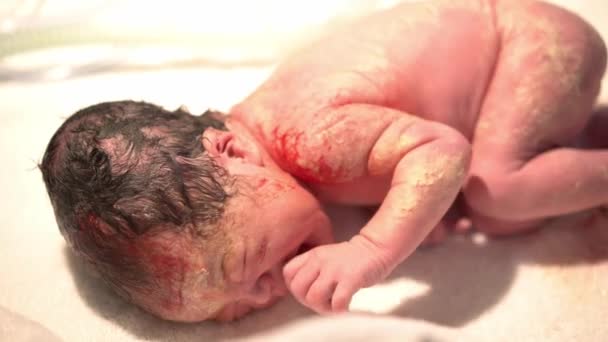 Primo Piano Del Neonato Asiatico Bambino Cinese Subito Dopo Consegna — Video Stock