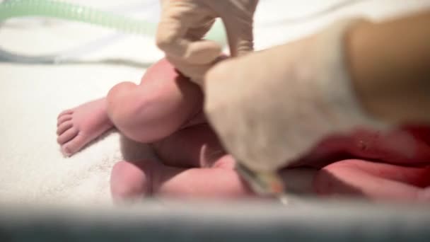 Bayi Asia Cina Yang Baru Lahir Menangis Hatinya Keluar — Stok Video