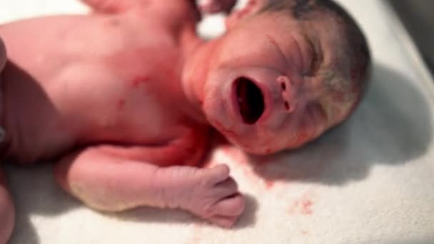 新出生的亚裔中国婴儿哭哭啼啼 — 图库视频影像
