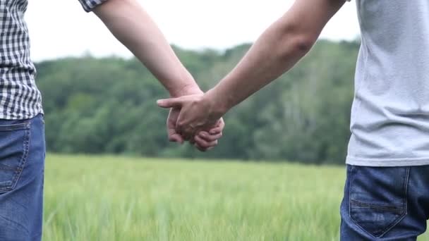 Un paio di gay che si abbracciano su un campo di grano verde — Video Stock